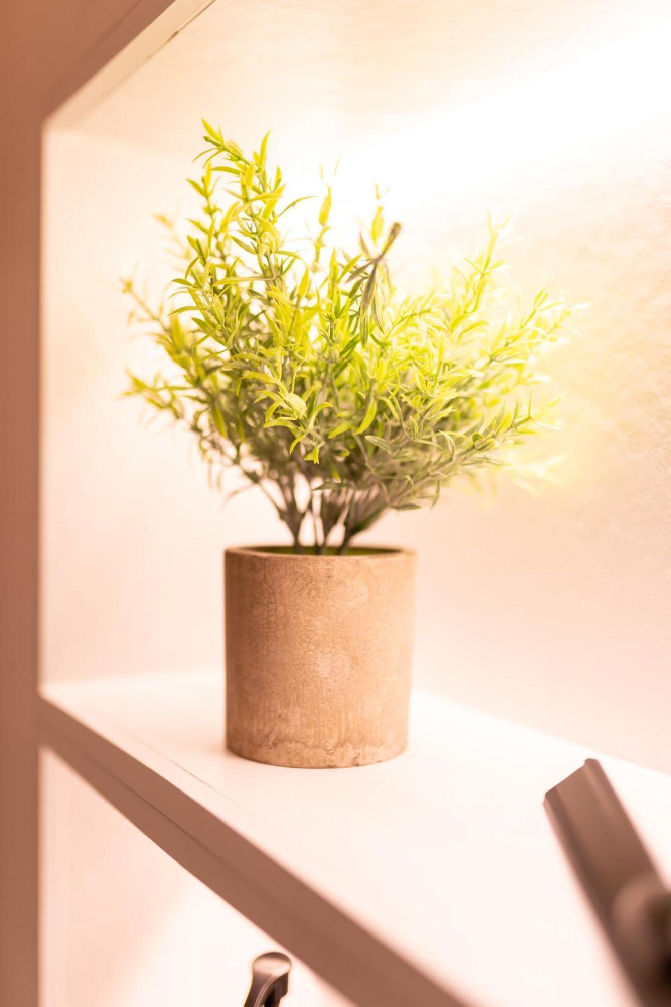 Seran II Apartamentos 론다 외부 사진